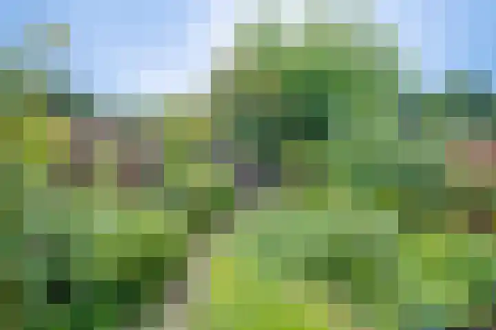 Epserenk 9 Epse thumbnail 21
