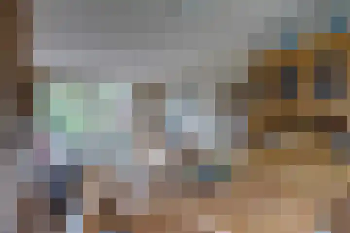Epserenk 9 Epse thumbnail 7