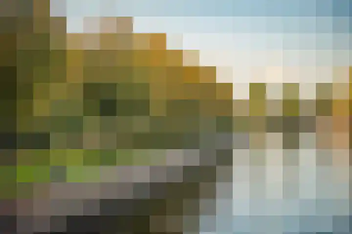 Erasmusgracht 21 1 Amsterdam thumbnail 19