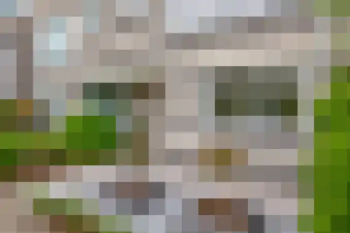 Erasmuslaan 12 Ridderkerk thumbnail 12