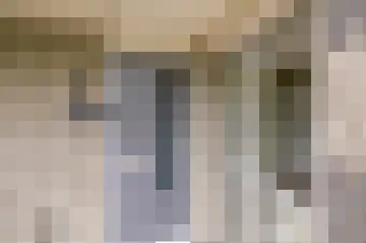 Erasmuslaan 12 Ridderkerk thumbnail 13
