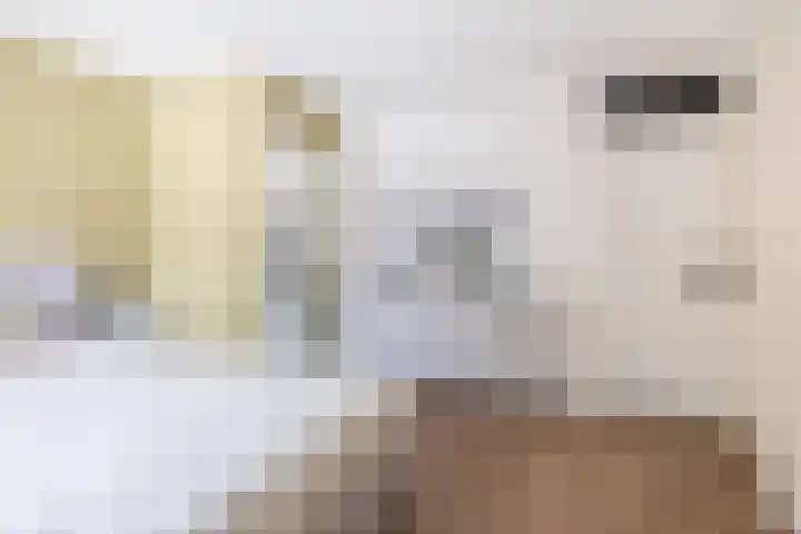 Erasmuslaan 12 Ridderkerk thumbnail 21