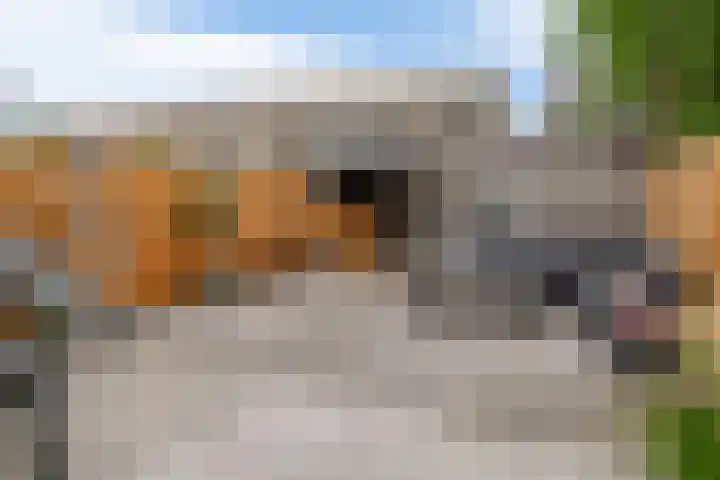 Erasmuslaan 12 Ridderkerk thumbnail 23