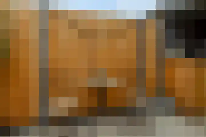 Erasmuslaan 12 Ridderkerk thumbnail 26
