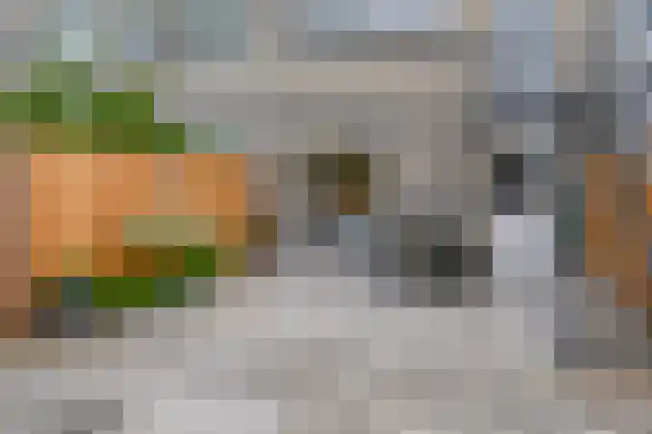 Erasmuslaan 12 Ridderkerk thumbnail 27
