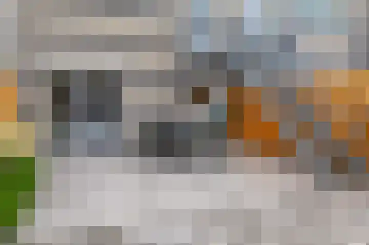 Erasmuslaan 12 Ridderkerk thumbnail 28