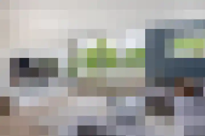 Erasmuslaan 12 Ridderkerk thumbnail 31