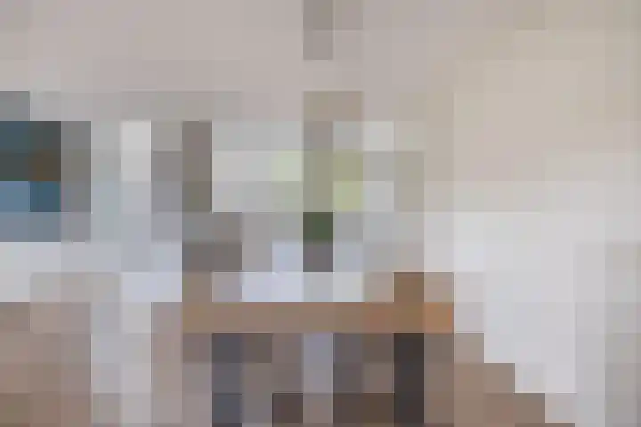 Erasmuslaan 12 Ridderkerk thumbnail 37