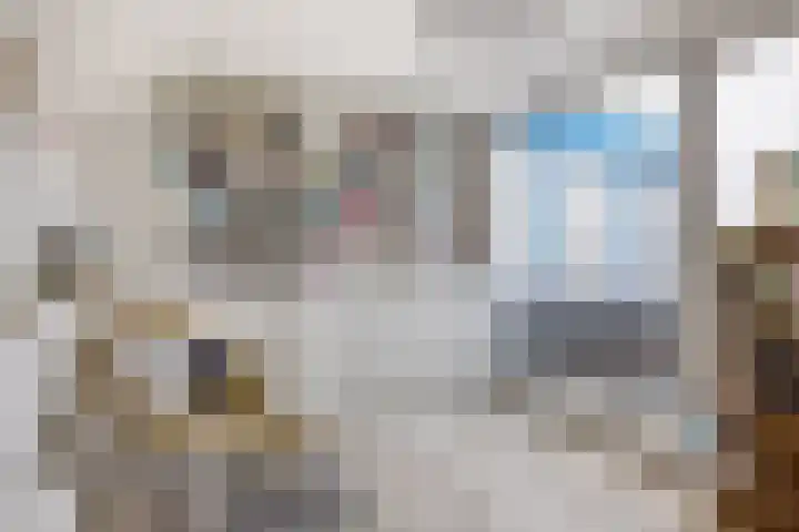 Erasmuslaan 12 Ridderkerk thumbnail 46
