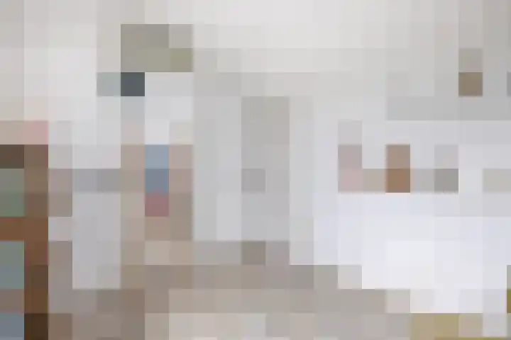 Erasmuslaan 12 Ridderkerk thumbnail 47