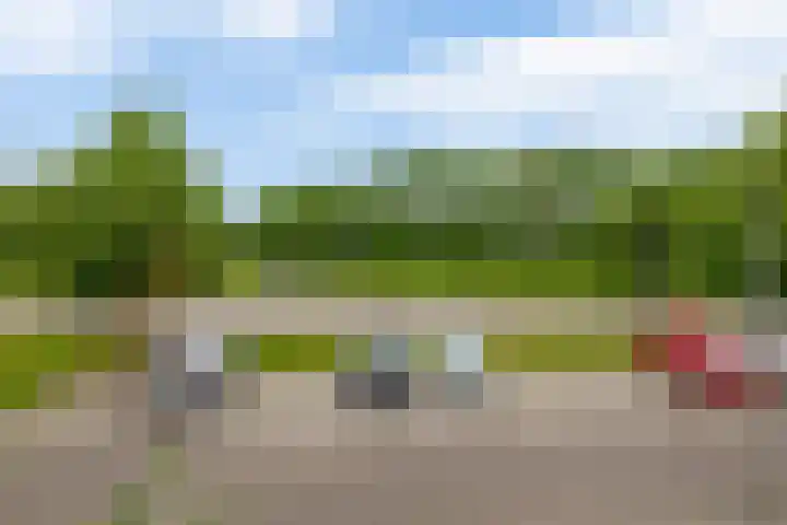 Erasmuslaan 12 Ridderkerk thumbnail 58