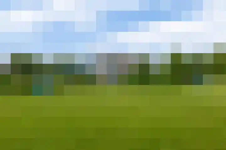 Erasmuslaan 12 Ridderkerk thumbnail 61