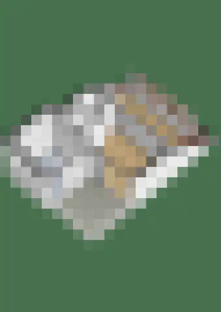 Erasmuslaan 12 Ridderkerk thumbnail 72