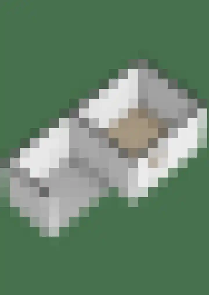 Erasmuslaan 12 Ridderkerk thumbnail 78