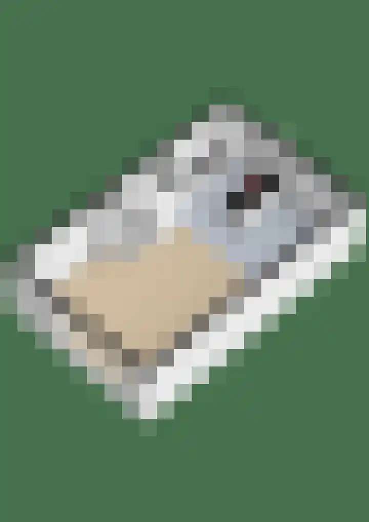 Erasmuslaan 12 Ridderkerk thumbnail 80