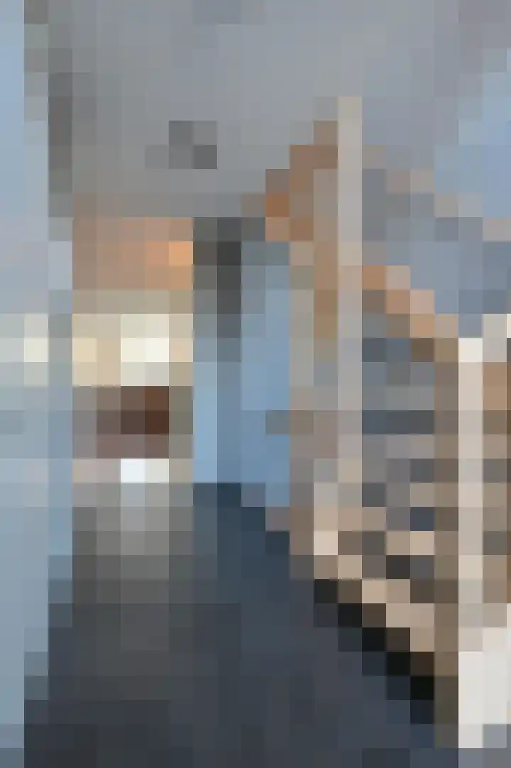 Erasmuslaan 13 Zeist thumbnail 17