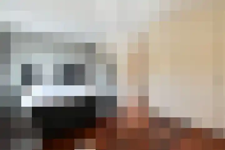 Erasmuslaan 13 Zeist thumbnail 20