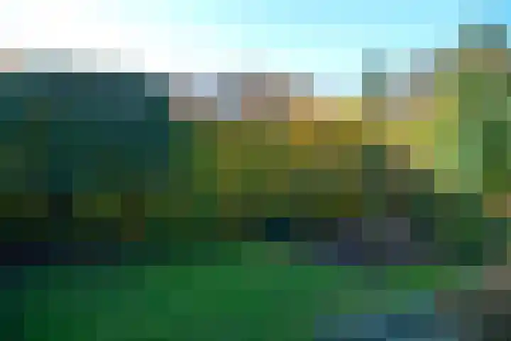 Erasmuslaan 13 Zeist thumbnail 34