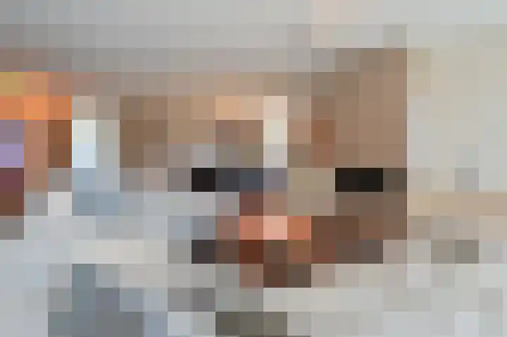 Erasmuslaan 13 Zeist thumbnail 4