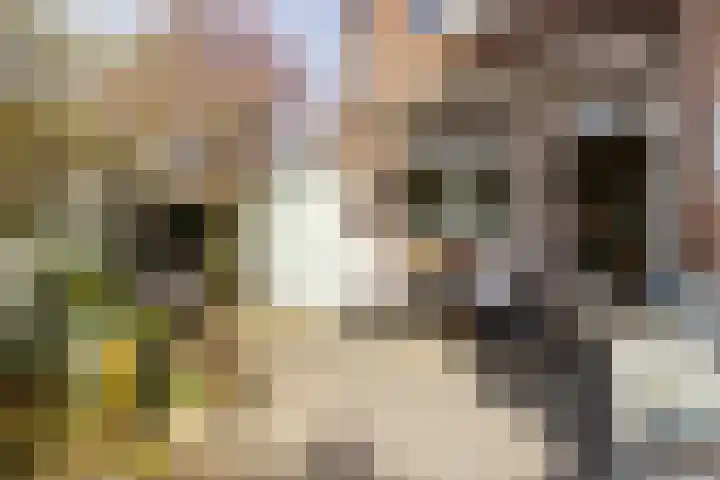 Erasmuslaan 37 Hilversum thumbnail 25