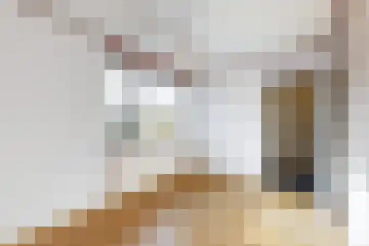 Erasmuslaan 37 Hilversum thumbnail 6
