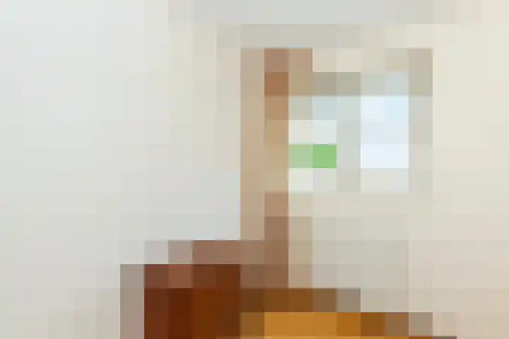 Erasmuslaan 44 Ridderkerk thumbnail 19