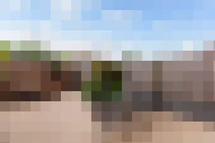 Erasmuslaan 44 Ridderkerk thumbnail 33