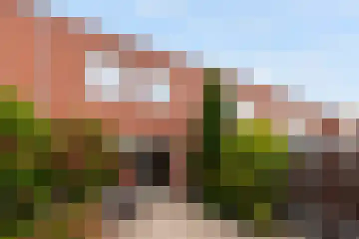 Erasmuslaan 44 Ridderkerk thumbnail 34