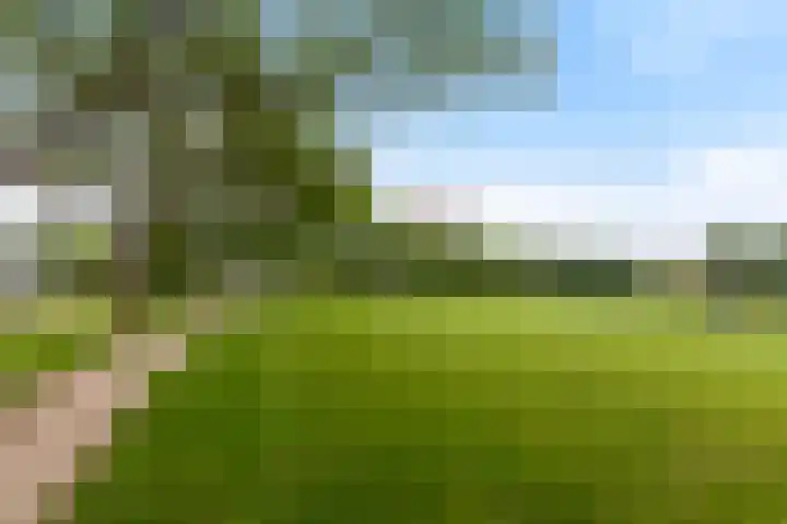 Erasmuslaan 44 Ridderkerk thumbnail 36