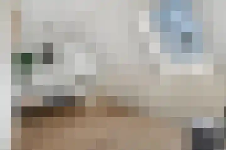 Erasmusstate 98 Ede thumbnail 30