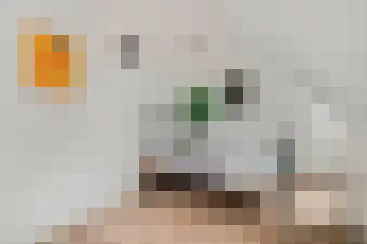 Erasmusstate 98 Ede thumbnail 31