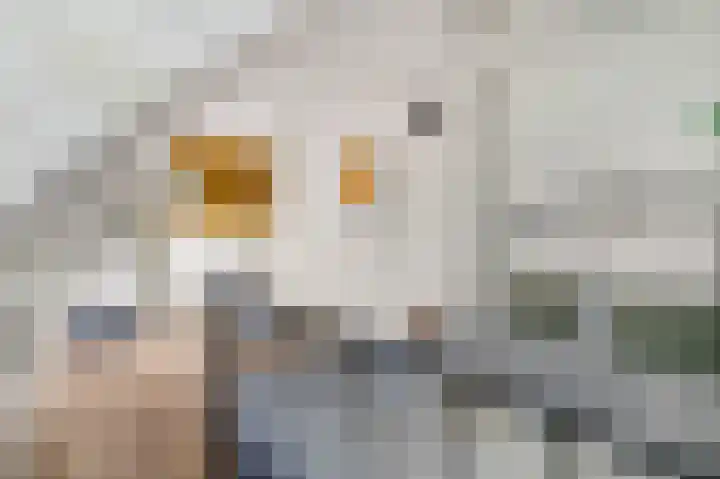 Erasmusstate 98 Ede thumbnail 32