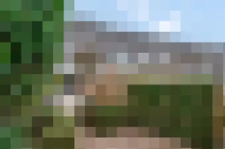 Erasmusstate 98 Ede thumbnail 36