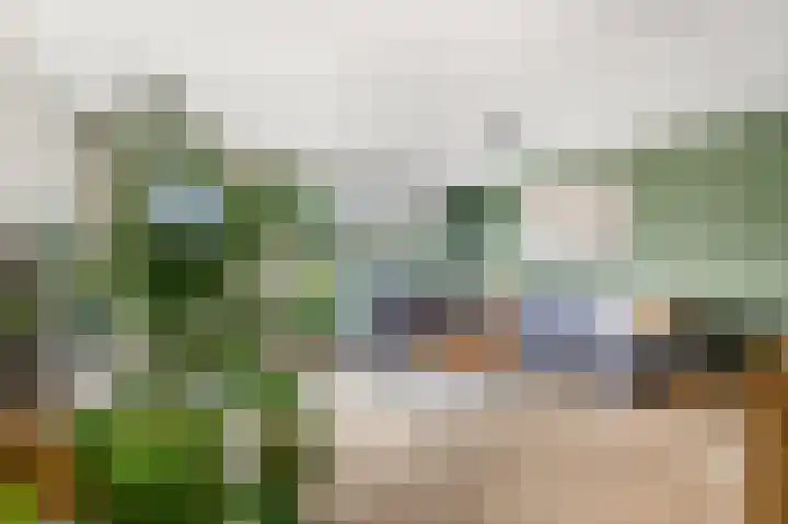 Erasmusstate 98 Ede thumbnail 4