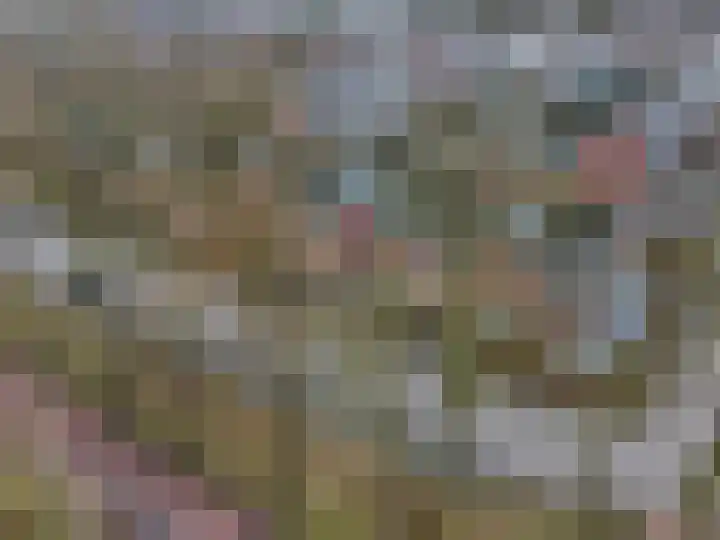 Erasmusstate 98 Ede thumbnail 43