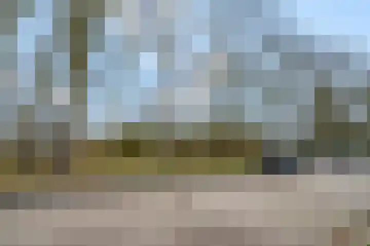 Erasmusstate 98 Ede thumbnail 45