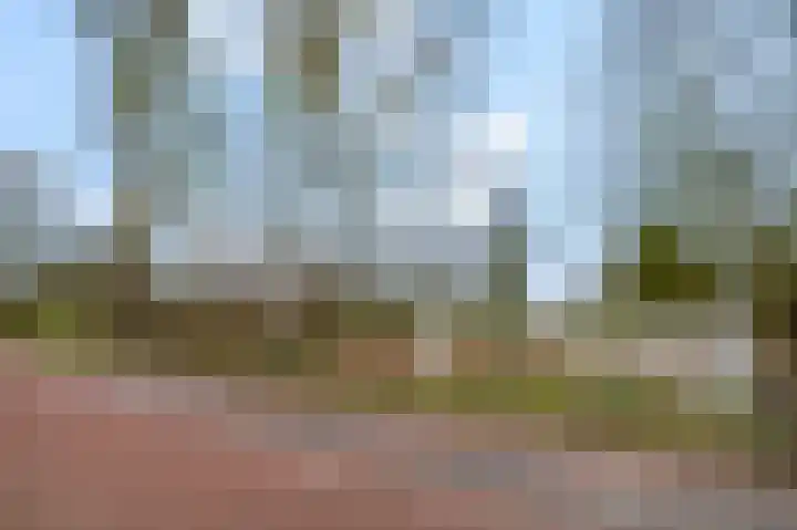 Erasmusstate 98 Ede thumbnail 46