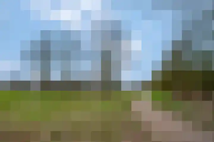 Erasmusstate 98 Ede thumbnail 47