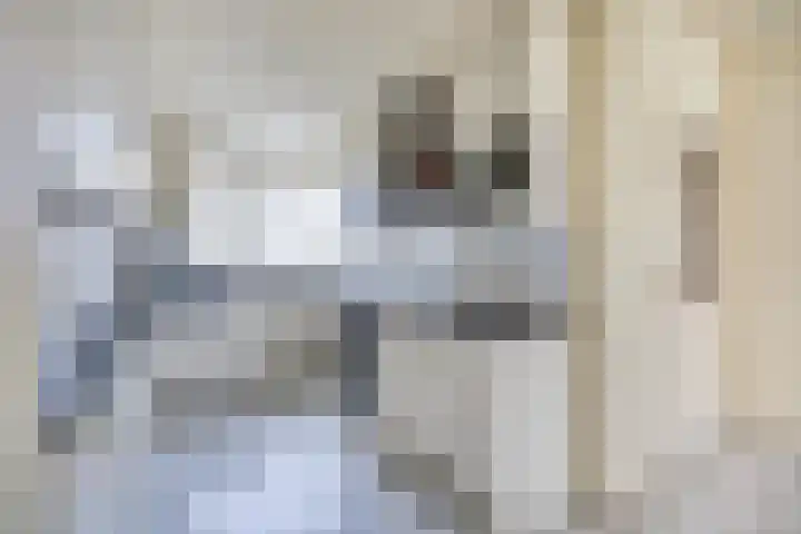 Erasmustuin 9 Capelle aan den IJssel thumbnail 13