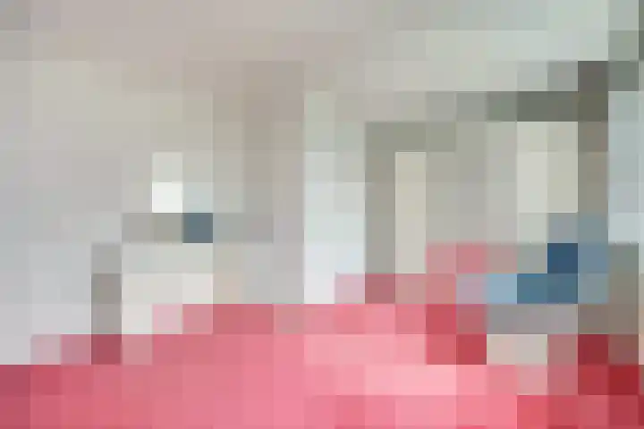 Erasmustuin 9 Capelle aan den IJssel thumbnail 20
