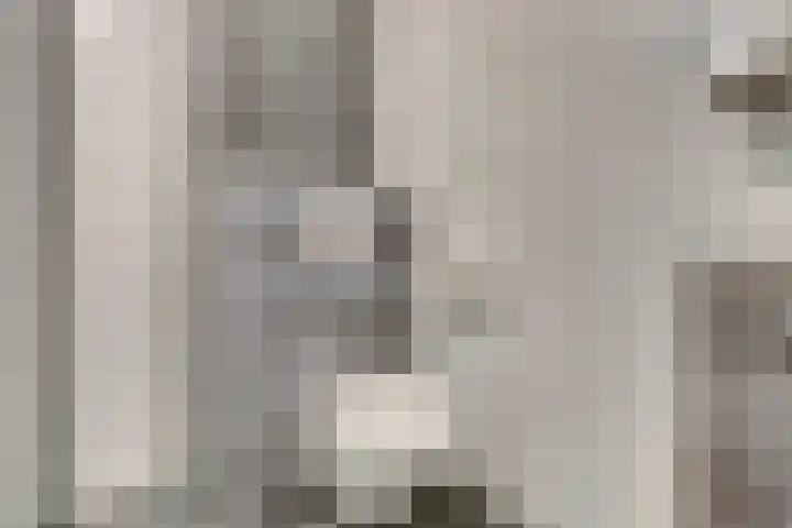 Erasmustuin 9 Capelle aan den IJssel thumbnail 23