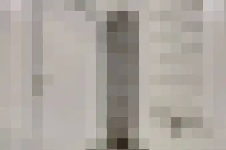 Erasmustuin 9 Capelle aan den IJssel thumbnail 25