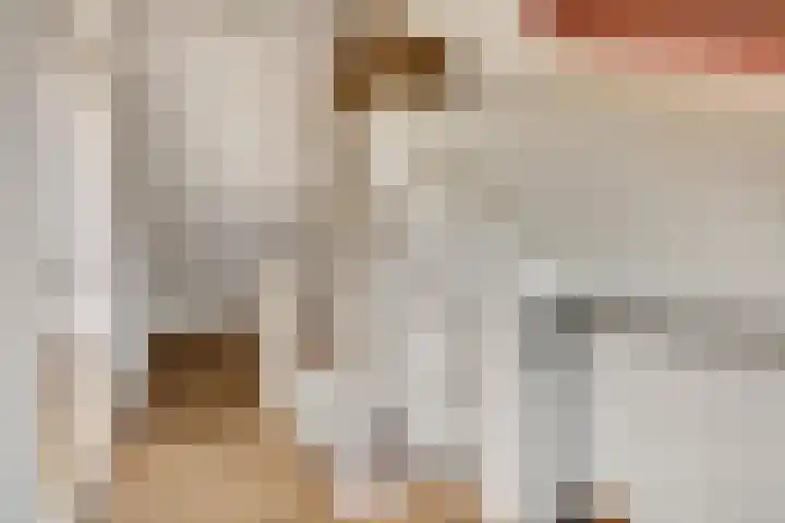 Erasmustuin 9 Capelle aan den IJssel thumbnail 33