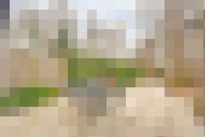 Erasmustuin 9 Capelle aan den IJssel thumbnail 35