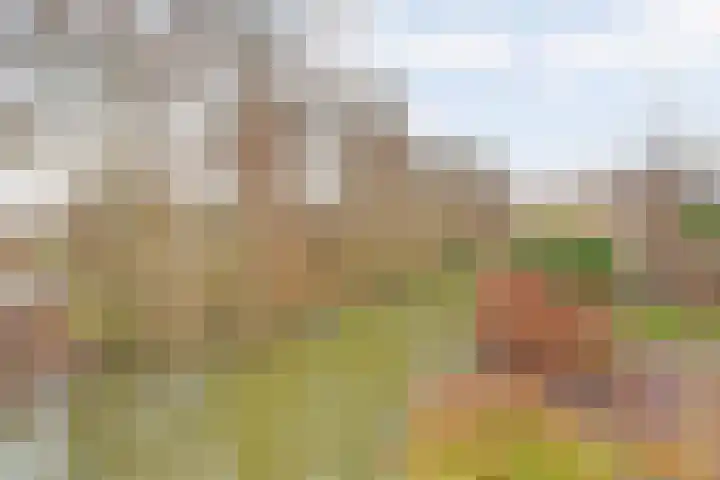 Erasmustuin 9 Capelle aan den IJssel thumbnail 37