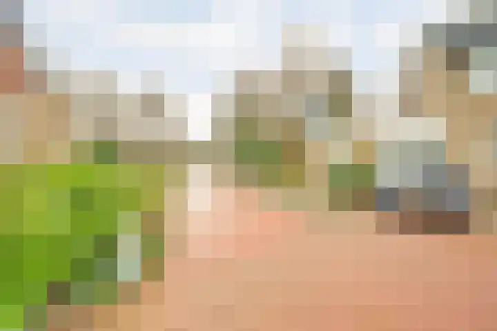 Erasmustuin 9 Capelle aan den IJssel thumbnail 40