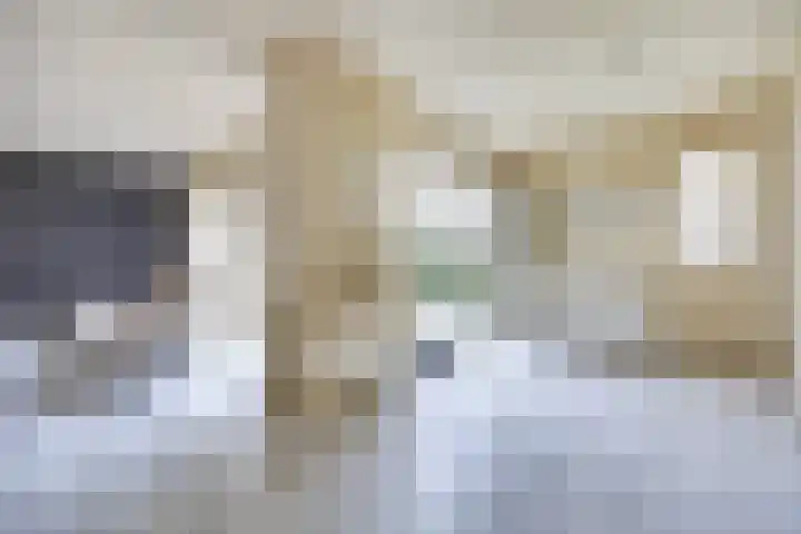Erasmustuin 9 Capelle aan den IJssel thumbnail 8