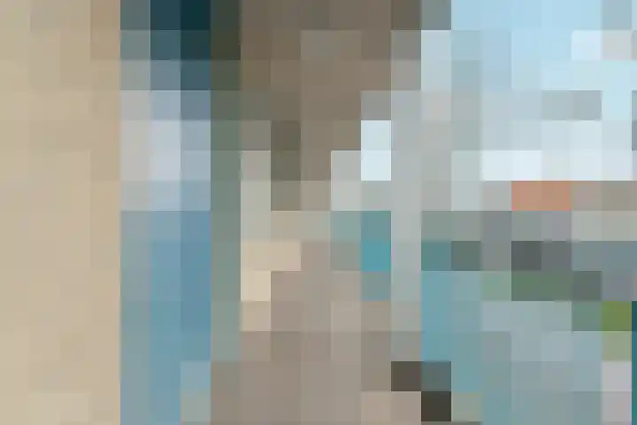 Erasmusweg 3 Den Haag thumbnail 5