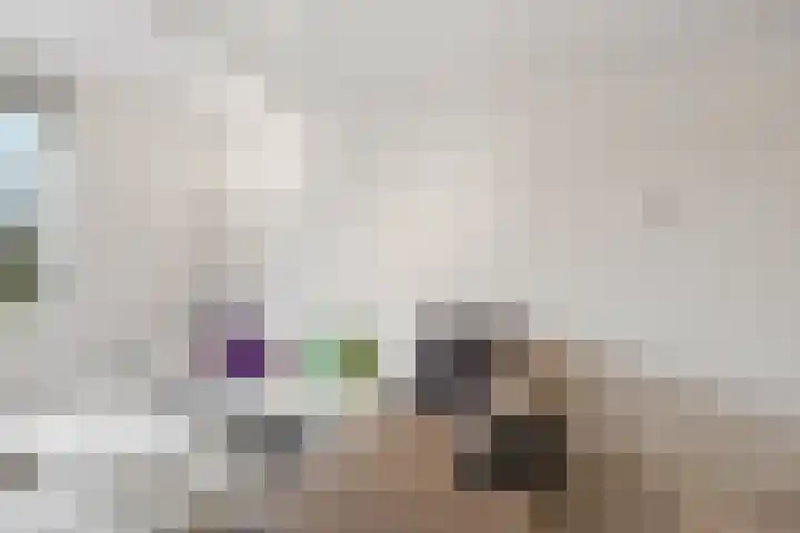 Erasmusweg 3 Den Haag thumbnail 9