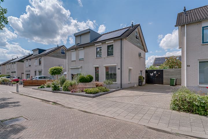 Erdwal 64 in Tolkamer foto